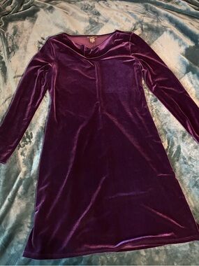 Velvet Long Sleeve Purple Dress